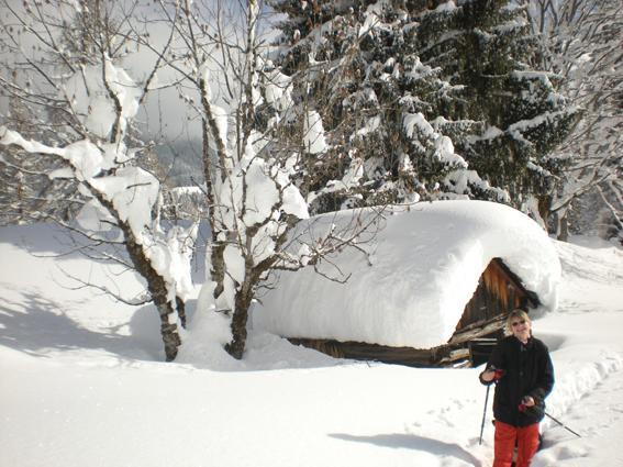 Appartment Lärchenalm Sankt Martin am Tennengebirge Exteriör bild